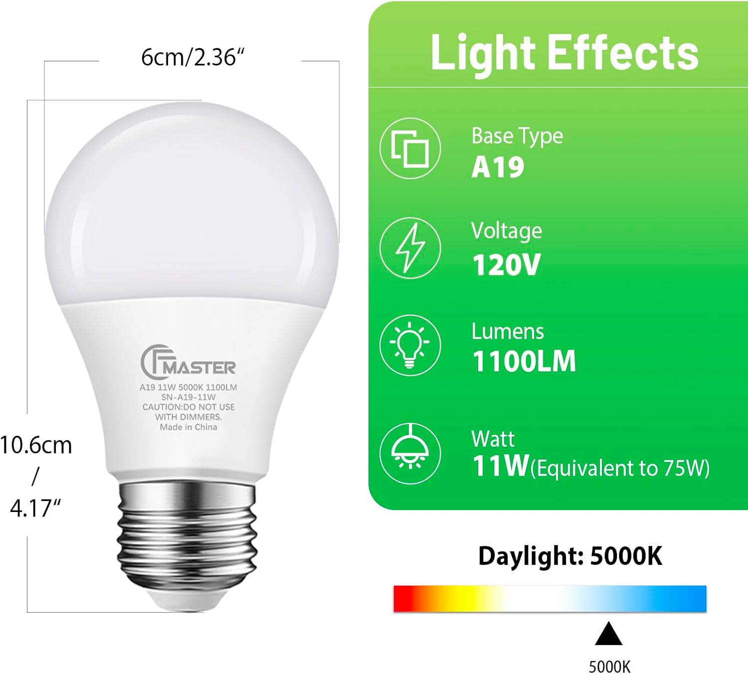 A19 LED Light Bulb